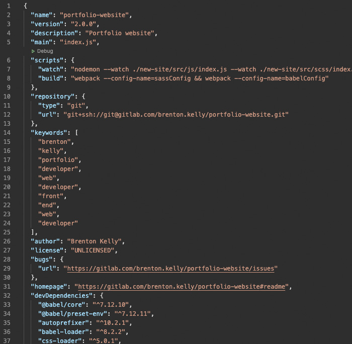 Porfolio website package.json file preview